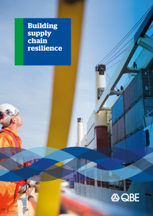 Building Supply Chain Resilience